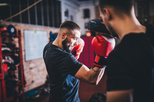 Boxing training